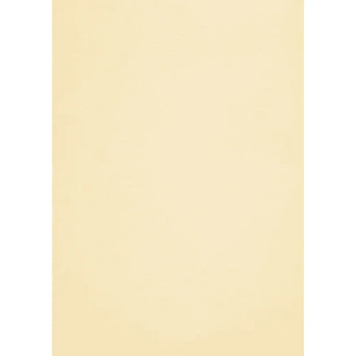 Print Care Premium Conqueror Paper – A4/ 500 Sheets/ 100GSM - Image 2
